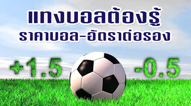 ราคาบอลวันนี้วิเคราะห์ฟรีเเจกบอลเด็ด5ดาว